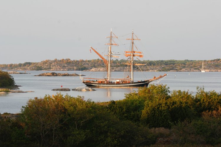 Skepp som ankrat utanför Hamnö